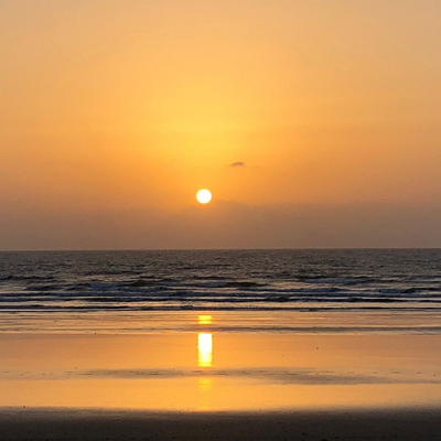 Untitled design (59)